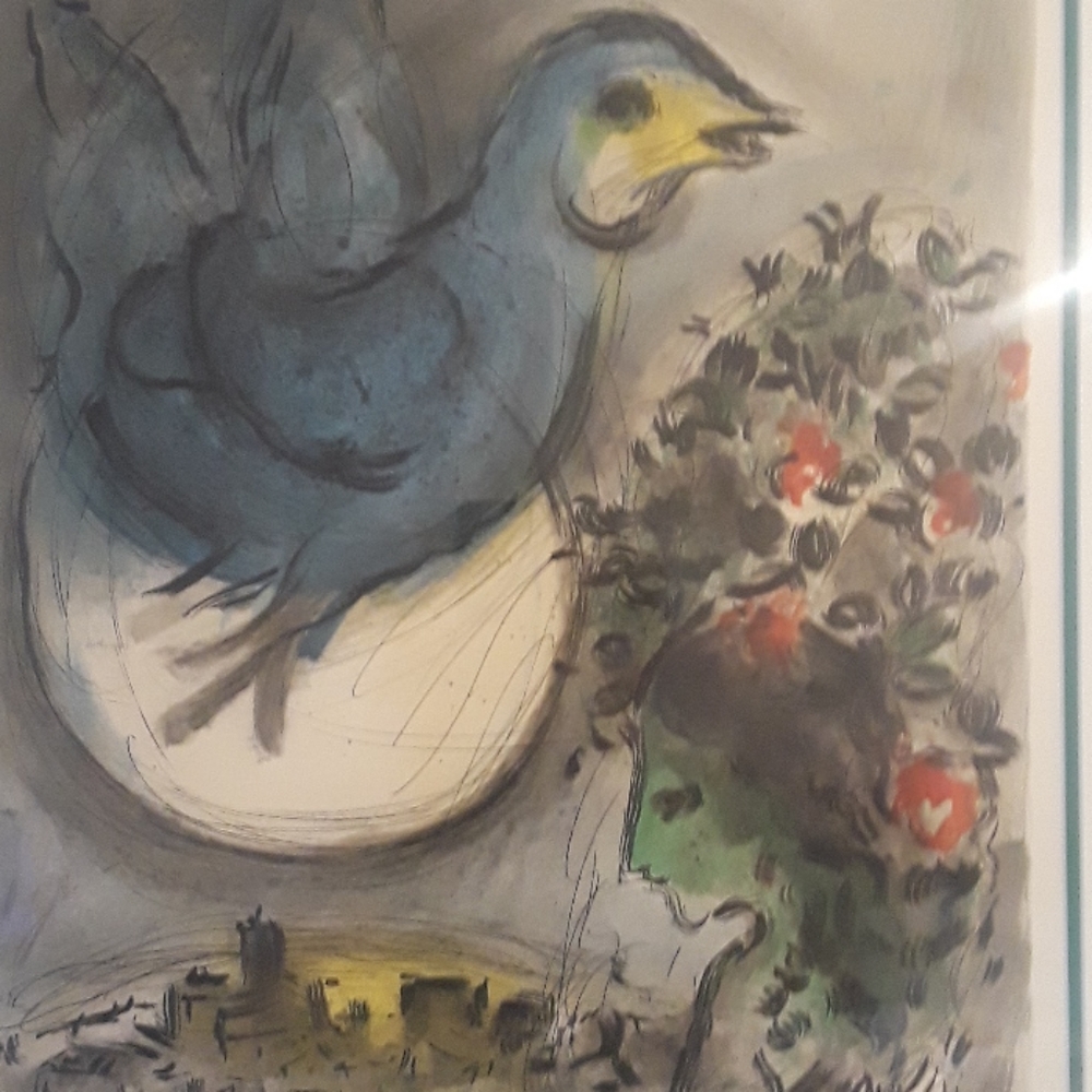 Meet your Posher, Gratitude New Yorker